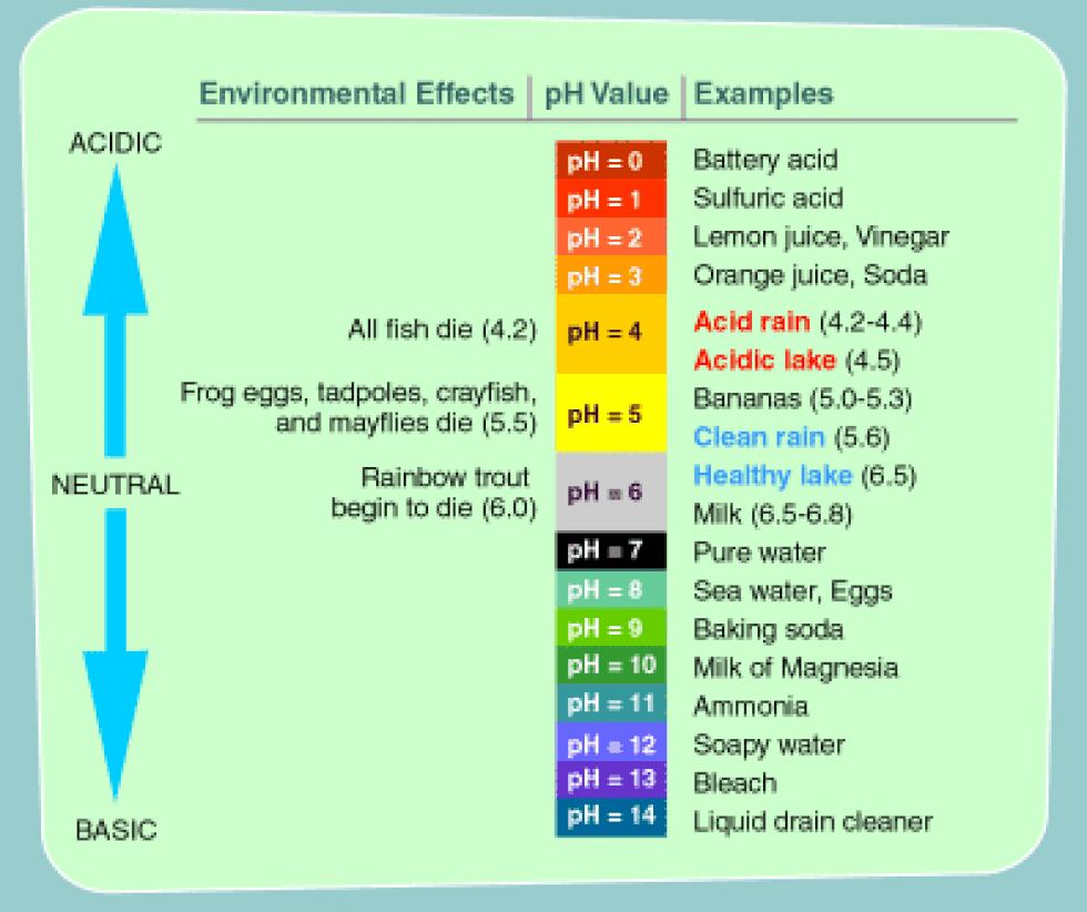 effects of acid rain on animals