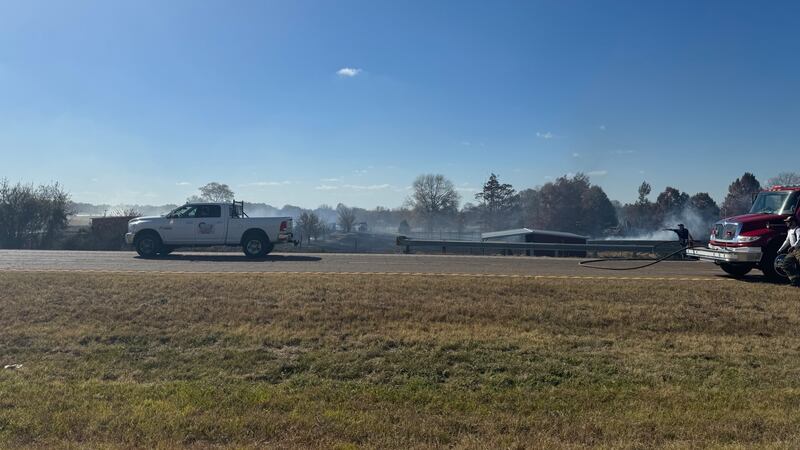 Grass fire at TN Safari Park