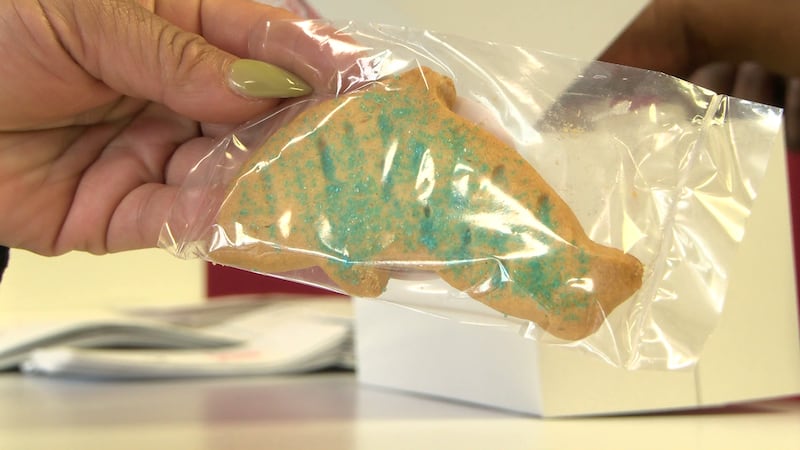 Makeda's dolphin cookies