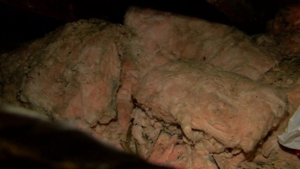 (SOURCE: WMC Action News 5)