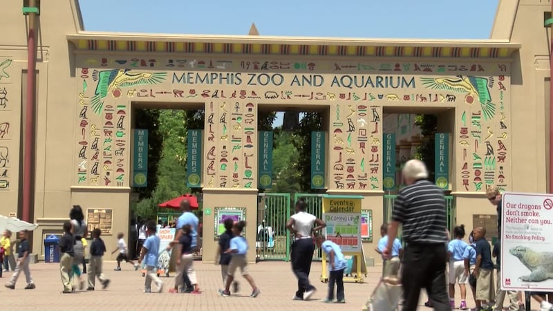 The Memphis Zoo