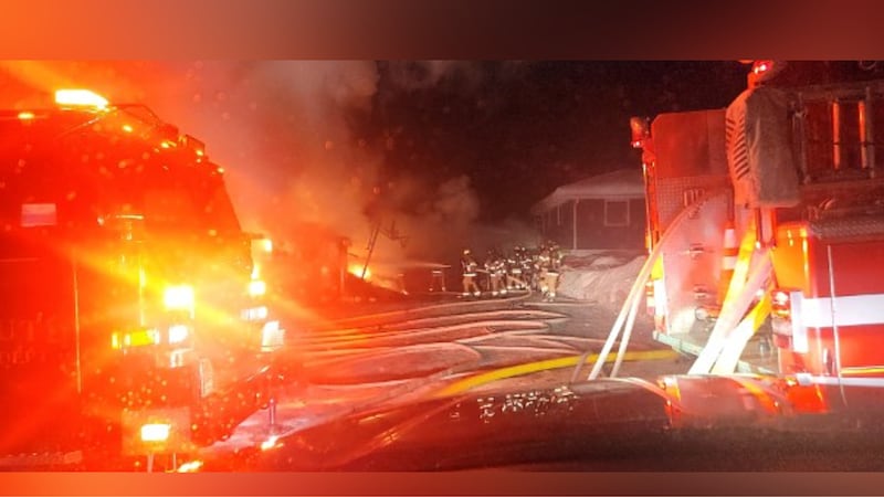A Minnesota fire department credits a young girl and her dog with helping their family escape...