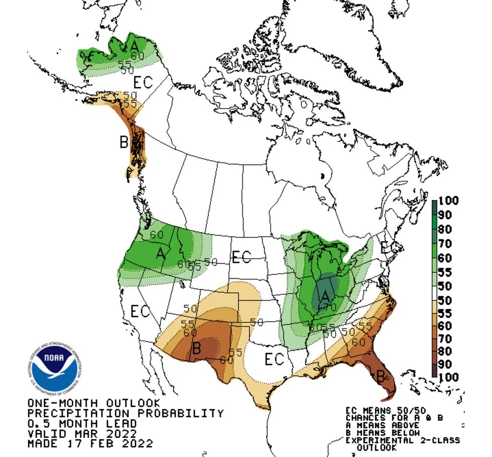 One month precipitation outlook