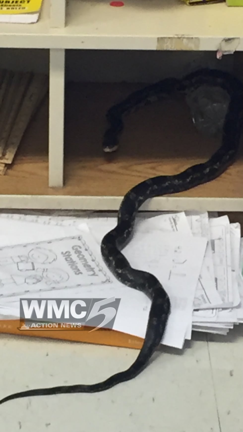 (Source: WMC Action News 5 Viewer)