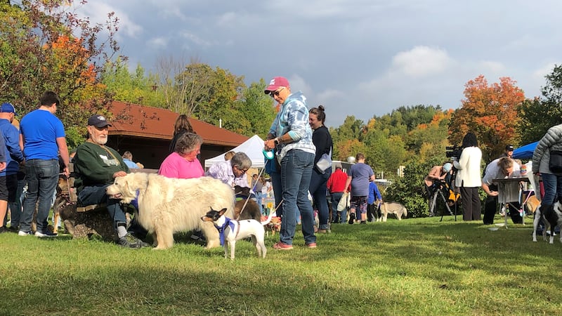 Hundreds attend Mutt Strut event to raise awareness for pet safety and adoption