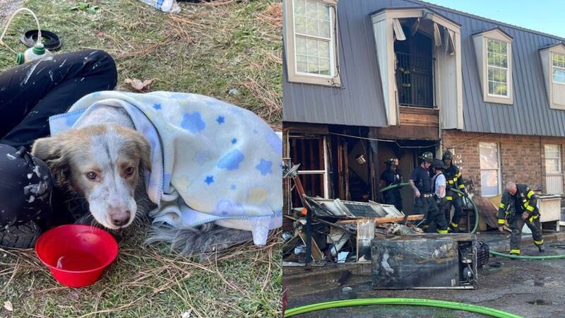 Fire at Creekside Apartments, Wednesday, Nov. 8, 2023