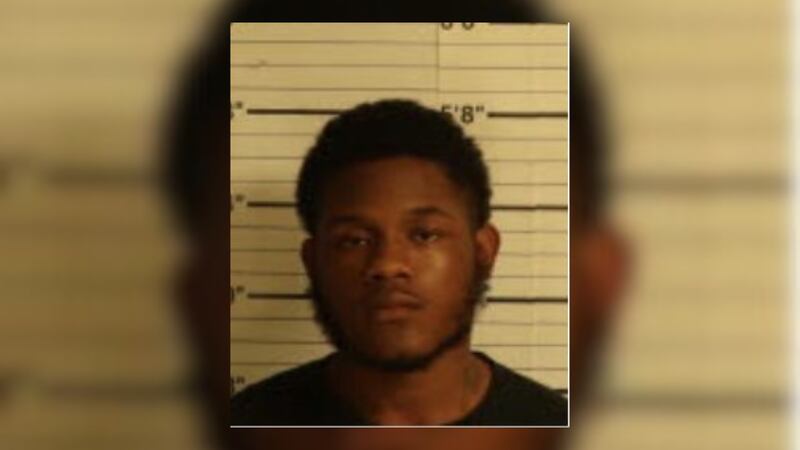 Hayden McGowan, 18, and a 17-year-old girl were both charged with theft, aggravated assault,...