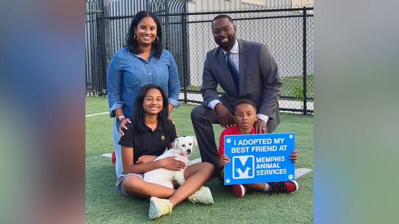 The Young family and their newly-adopted furry friend, Cali.